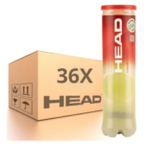 קרטון 36 קופסאות 4 כדורי טניס - Head Championship