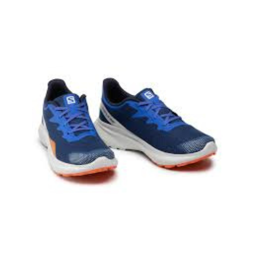 נעלי גברים Shoes Impulse SALOMON