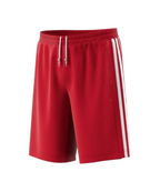 שורט ילדים/נוער REGISTA 18 SHORTS