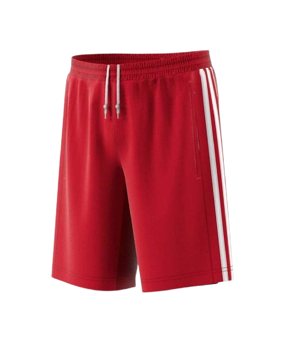 שורט ילדים/נוער REGISTA 18 SHORTS