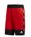 שורט Pro Mdns Short