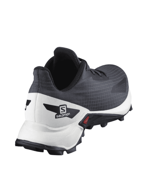 נעלי גברים דגם Alphacross Blast SALOMON תמונה משנית
