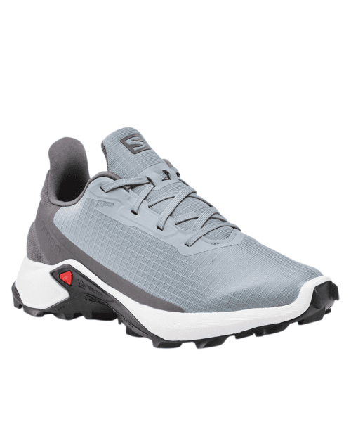 נעלי גברים דגם Shoes Alphacross 3 SALOMON