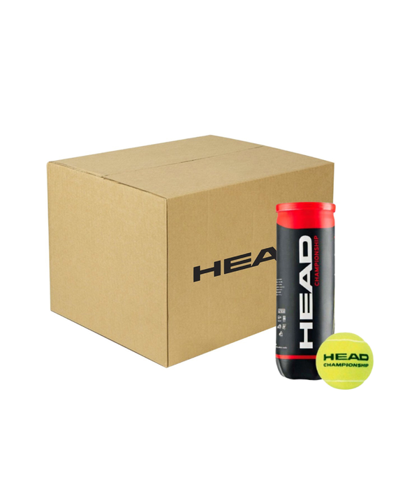 3B HEAD CHAMPIONSHIP - 6DZ ארגז כדורי טניס