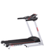 הליכון חדשני דגם York Silver Pro
